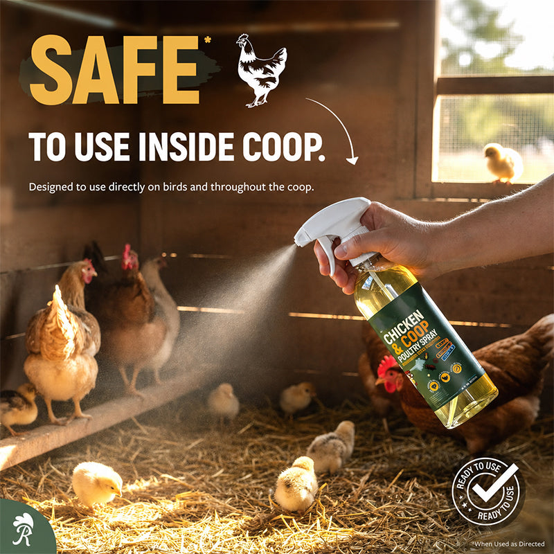 β‘π Natural spray for the chicken coop