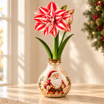 🔥 No Soil! No Water! Just Blooms! 🎄🌺 Watch These Holiday Waxed Amaryllis Bulbs Come to Life!