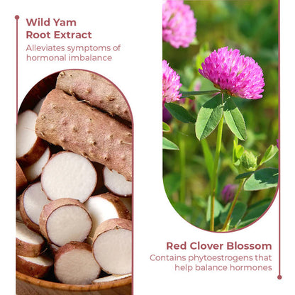 Wild Yam Cream