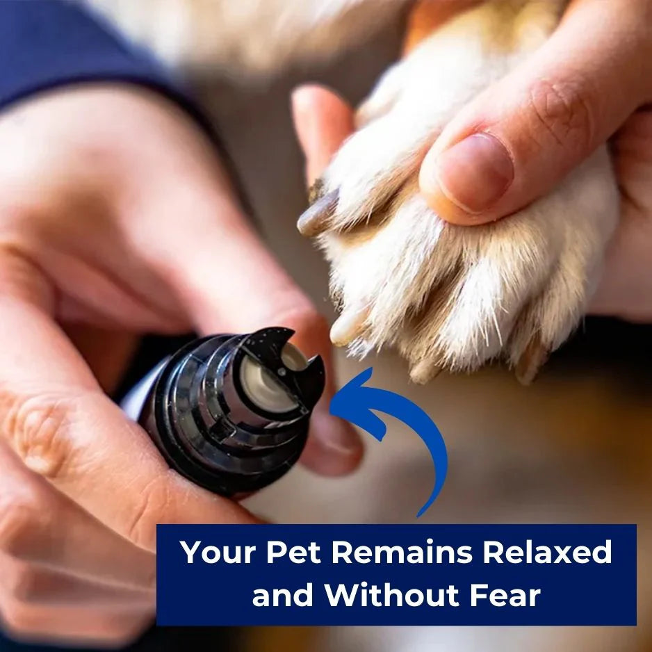 Give your pet a quick and easy manicure——Silent Groom Pro