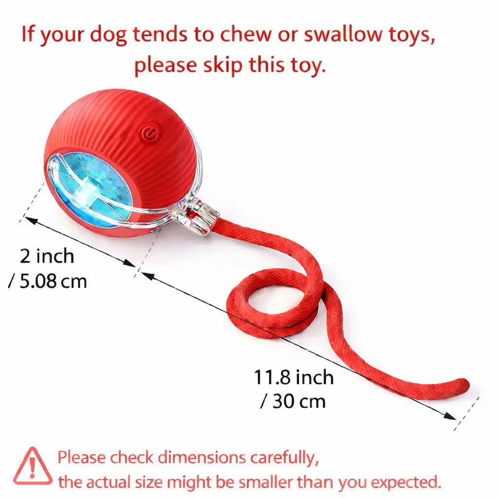 Interactive Cat & Dog Teaser Toy Ball