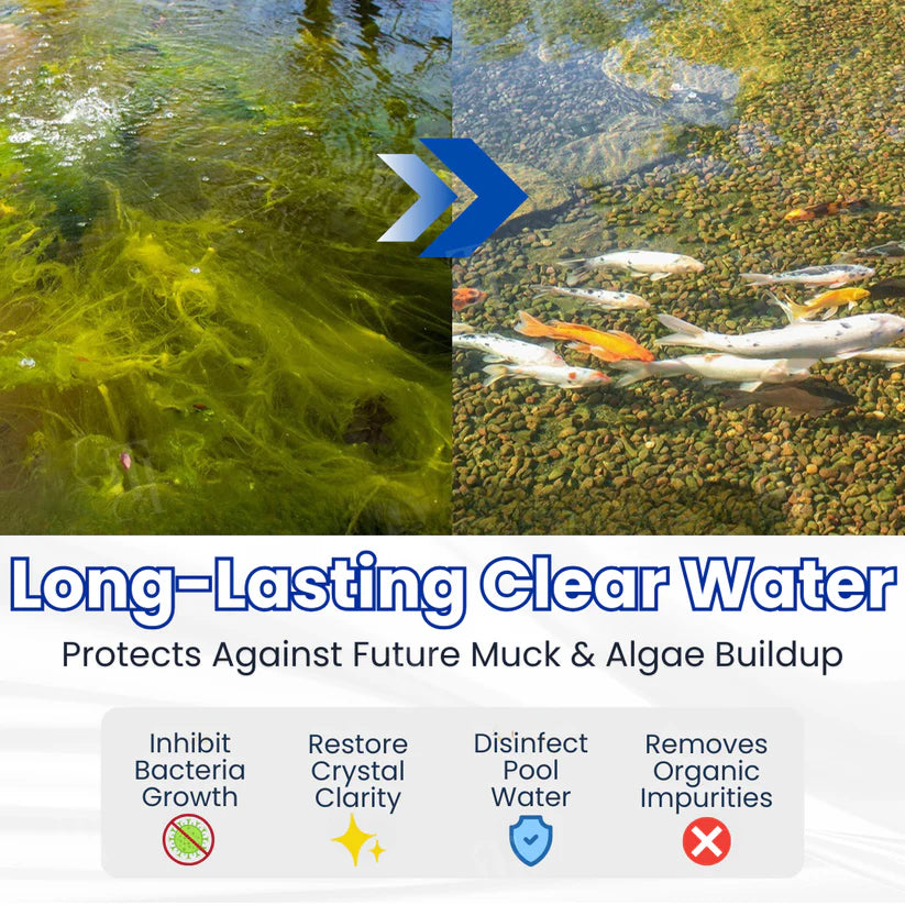 ✨ From Green to Clean Overnight! |⏱️ Crystal Clear in 24 Hours! |  Aqua-Guardian Pro Formula