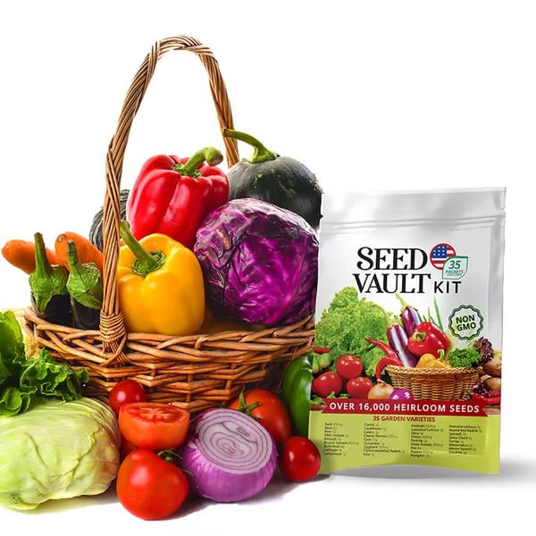 🌱 Secure Your Future Today✨Vegetable Seed Vault Kit | 35 Variety Pack