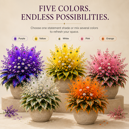 🌿🔥 Peacock Flame Hosta Bulbs – Vibrant Multicolor Foliage for Gardens, Patios & Planters 🦚