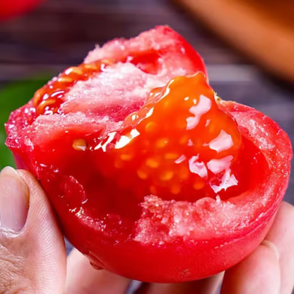 Potted Dwarf Tomato Seeds