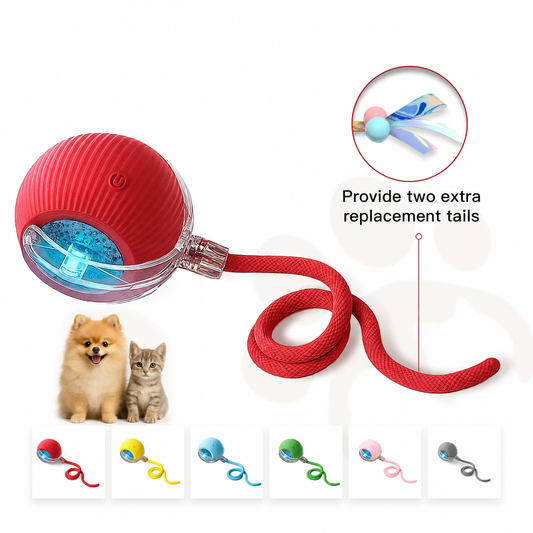 Interactive Cat & Dog Teaser Toy Ball