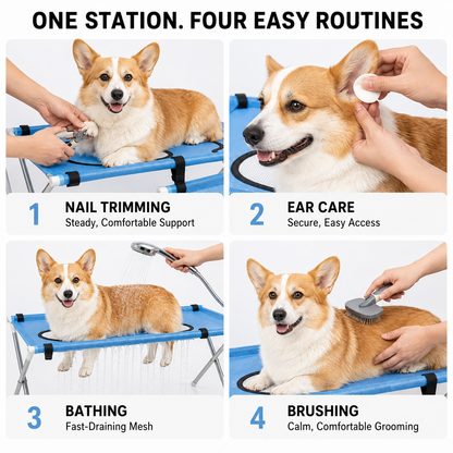 Stycove GroomingCare Station – Keep Your Pet Secure While Grooming